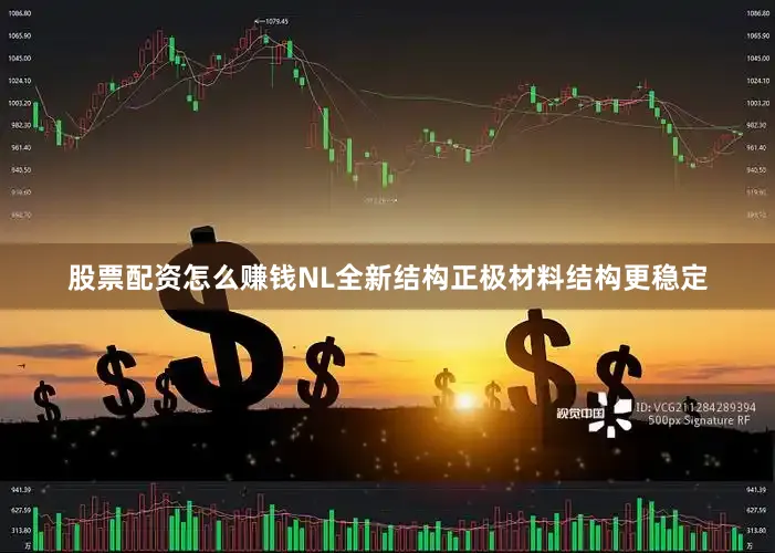 股票配资怎么赚钱NL全新结构正极材料结构更稳定