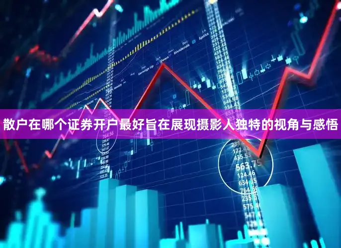 散户在哪个证券开户最好旨在展现摄影人独特的视角与感悟