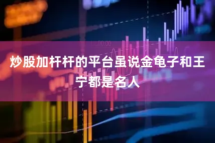 炒股加杆杆的平台虽说金龟子和王宁都是名人