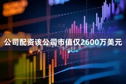 公司配资该公司市值仅2600万美元