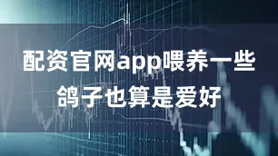 配资官网app喂养一些鸽子也算是爱好